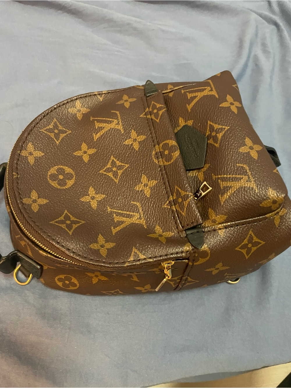 Louis Vuitton Palm Springs Mini